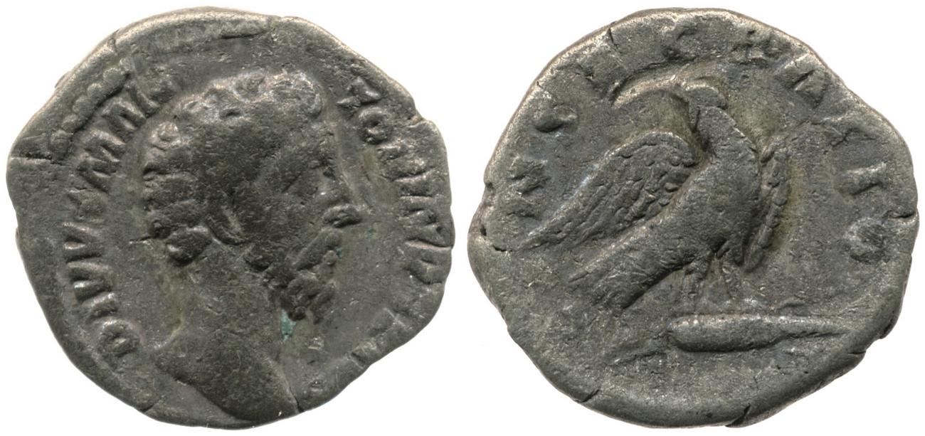 RIC III Commodus 269, аверс, bm