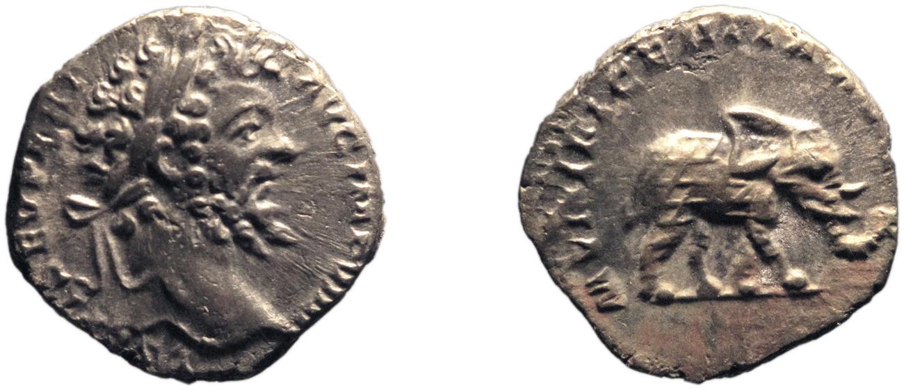 RIC IV Septimius Severus 100, аверс, bm