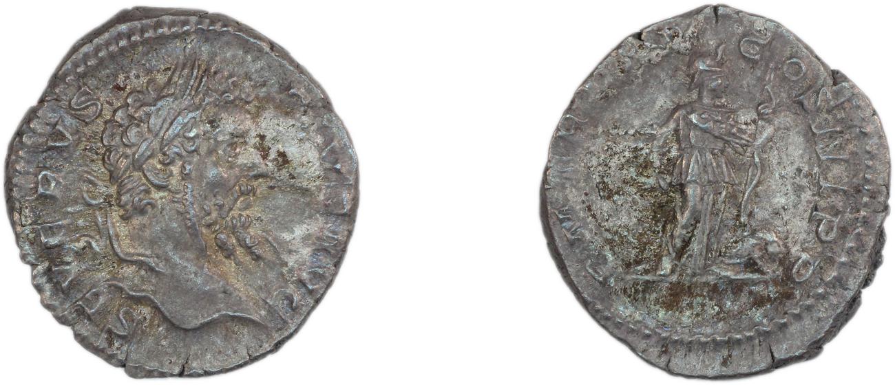 аверс RIC IV Septimius Severus 207A