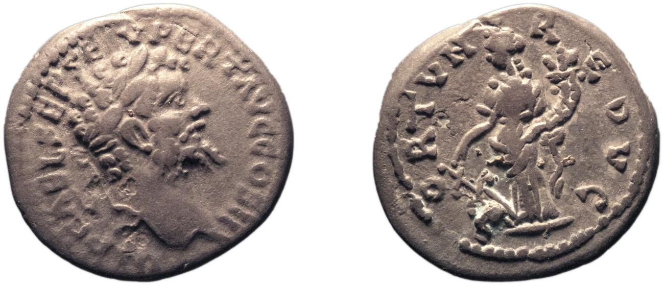 RIC IV Septimius Severus 377, аверс, bm