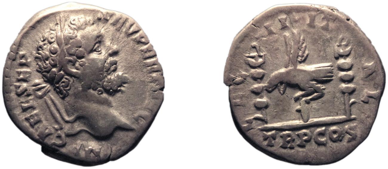 аверс RIC IV Septimius Severus 6