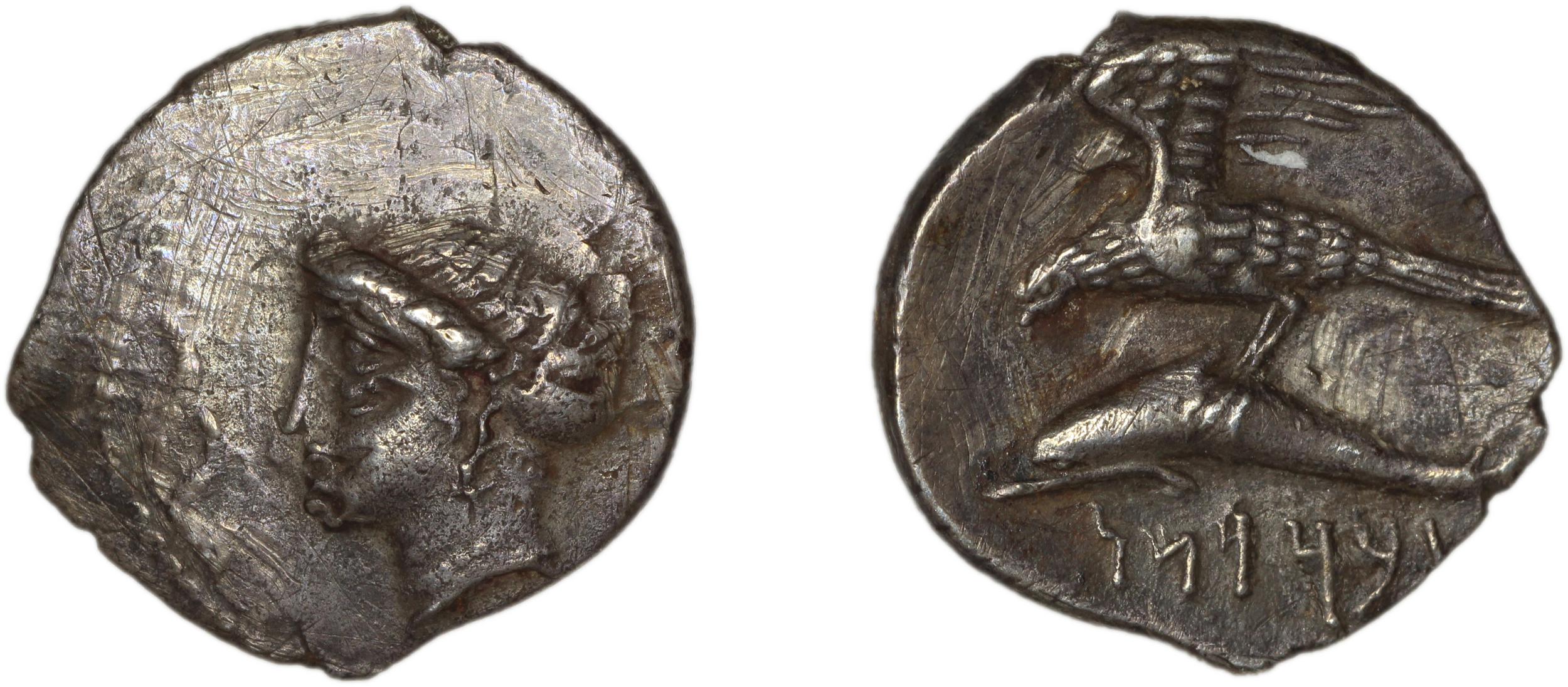 Abd Sasan of Sinope Sinope Waddington 1925 33, аверс, bm