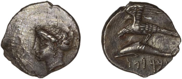 Abd Sasan of Sinope Sinope Waddington 1925 33, реверс, bm