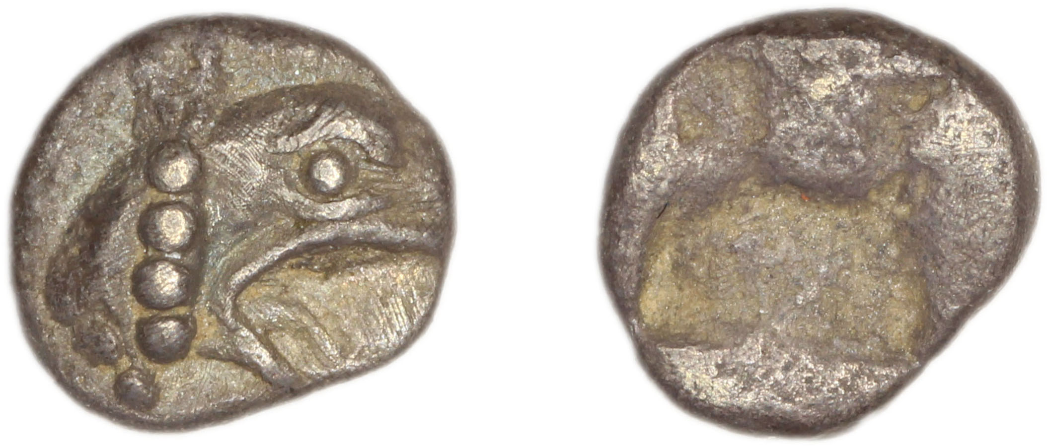Phocaea Babelon 1907 523-9, аверс, bm