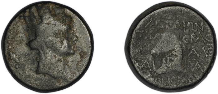 Aegeae Bloesch 1982 Period 5.204-8, реверс, bm