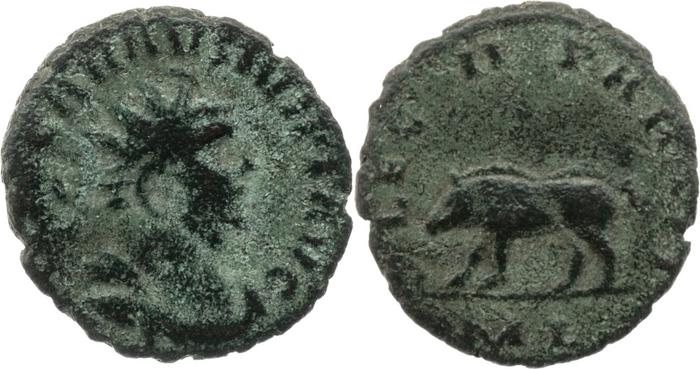 реверс RIC V Carausius 65
