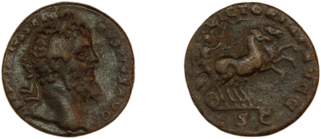 аверс RIC IV Septimius Severus 829D