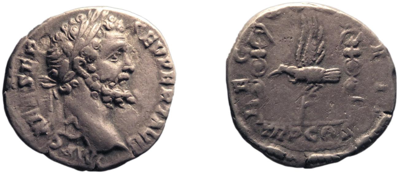 аверс RIC IV Septimius Severus 16