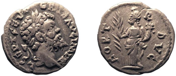реверс RIC IV Septimius Severus 453