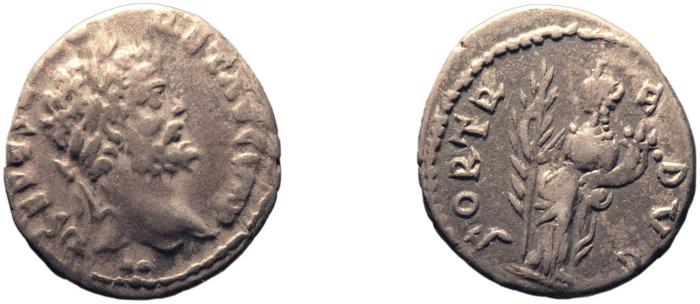 RIC IV Septimius Severus 453, реверс, bm