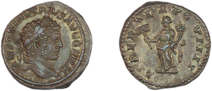 RIC IV Caracalla 302, реверс, bm