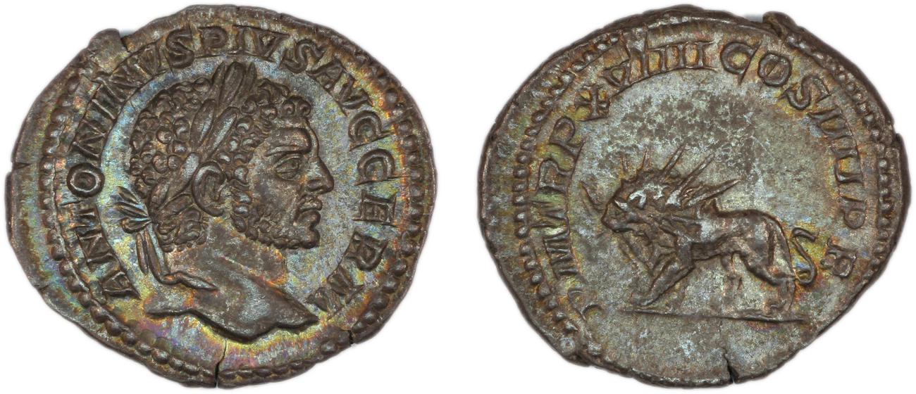 RIC IV Caracalla 283C, аверс, bm