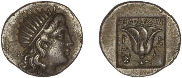 Rhodes Jenkins 1989 Group A, реверс, bm