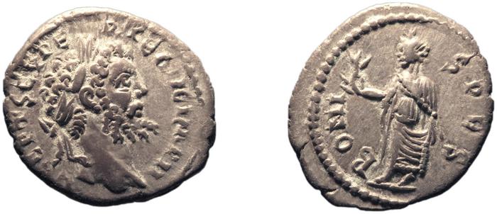RIC IV Septimius Severus 446, реверс, bm