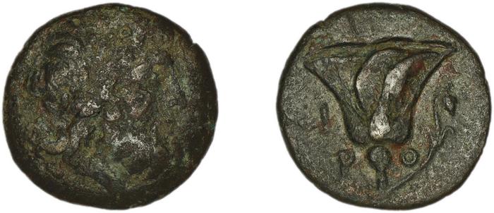 реверс Rhodes Ashton 2001 234-8
