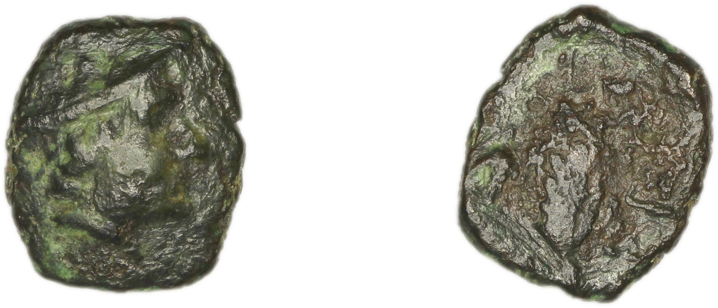 Eresus Hoover 2010 882, аверс, bm