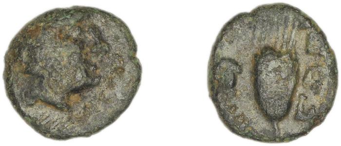 Eresus Hoover 2010 882, реверс, bm