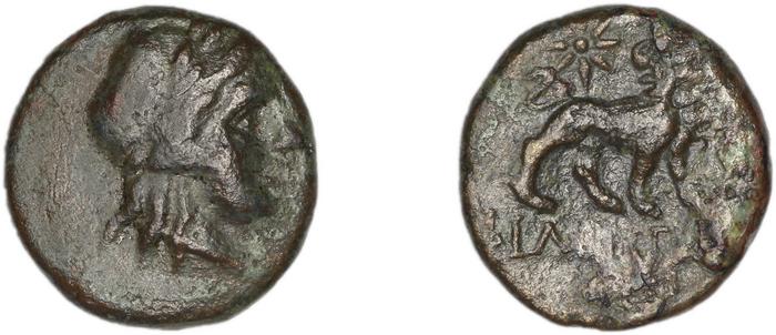 реверс Miletus Marcellesi 2004 7