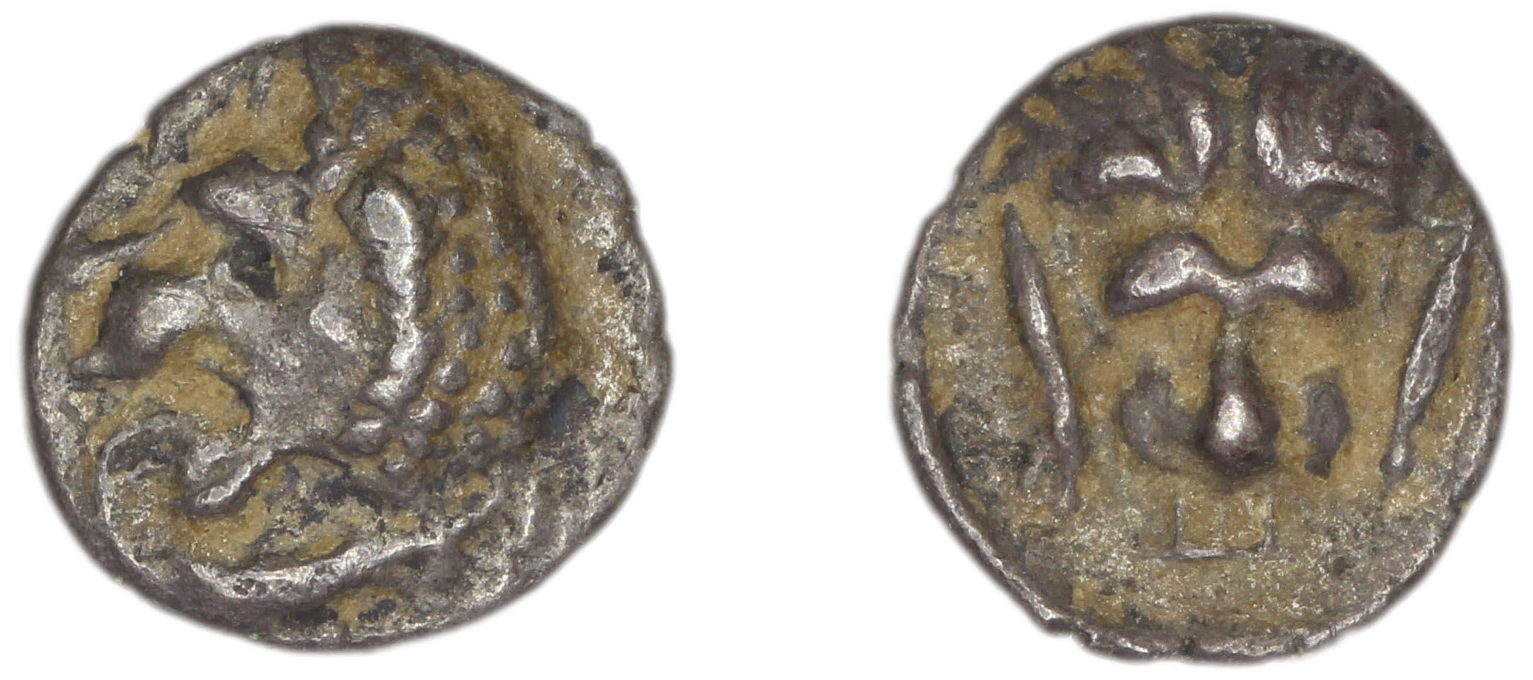 Hecatomnus of Caria Mylasa Troxell 1984 1, аверс, bm