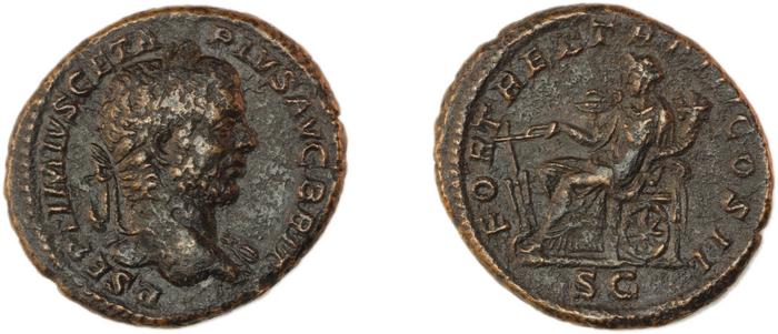 RIC IV Geta 175B, реверс, bm