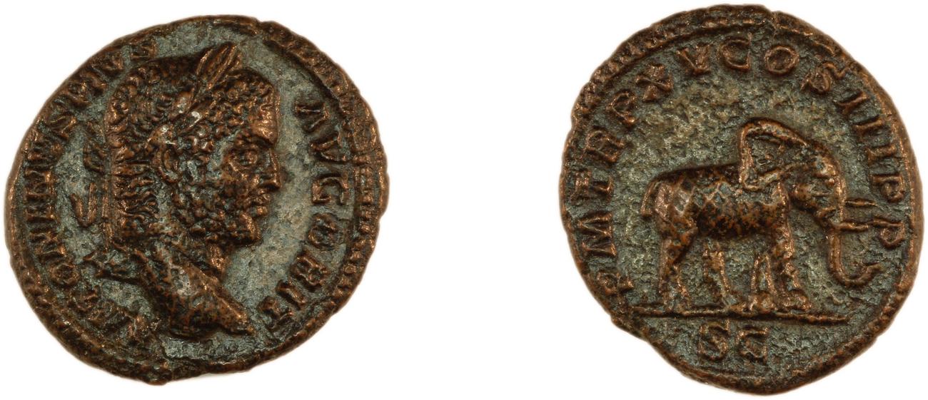 RIC IV Caracalla 495, аверс, bm