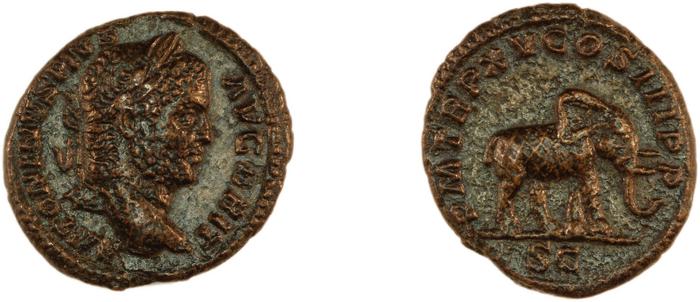 RIC IV Caracalla 495, реверс, bm