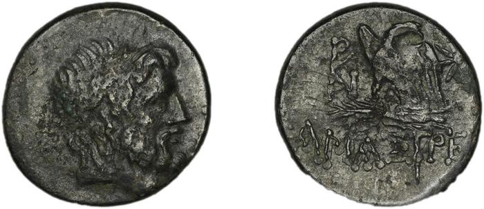 Amastris Waddington 1925 14, реверс, bm