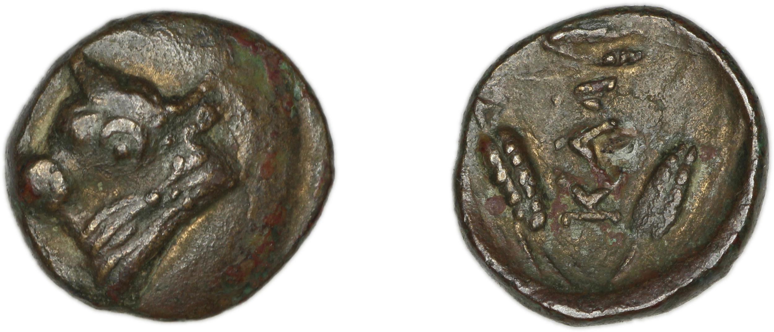 Calchedon Türkoğlu 2014 B02, аверс, bm