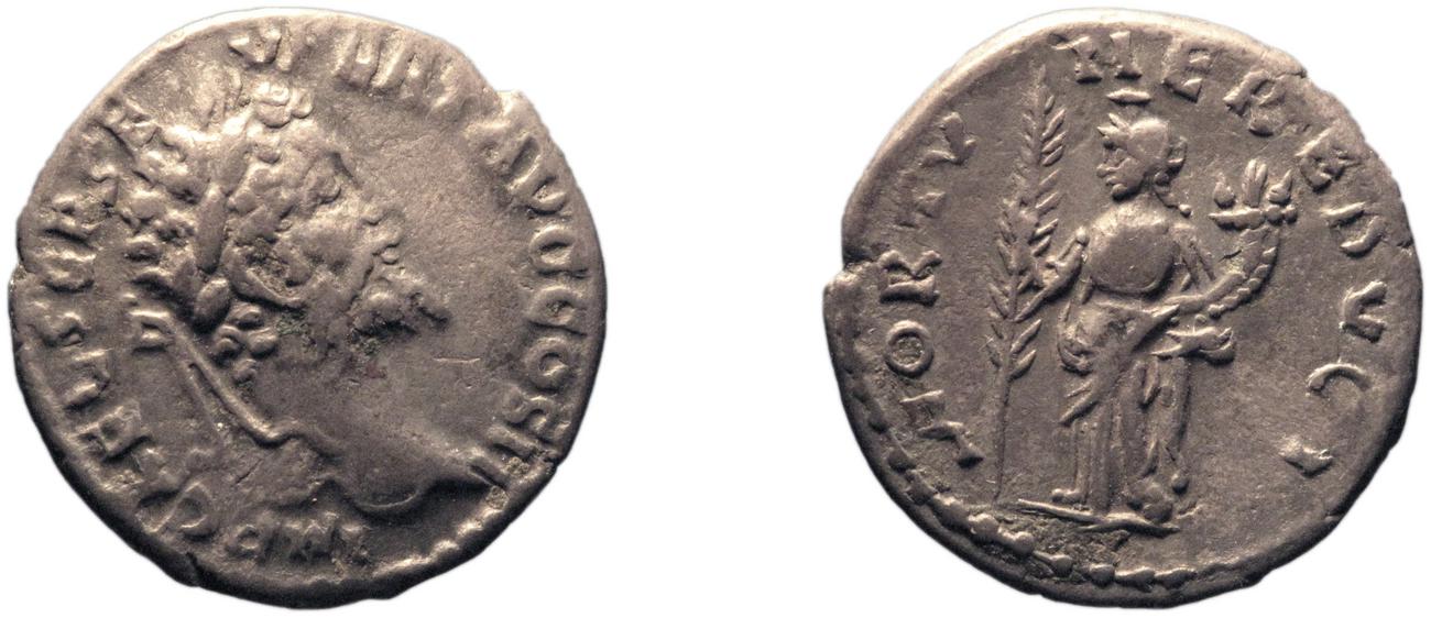 RIC IV Septimius Severus 384, аверс, bm
