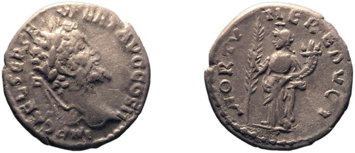 RIC IV Septimius Severus 384, реверс, bm