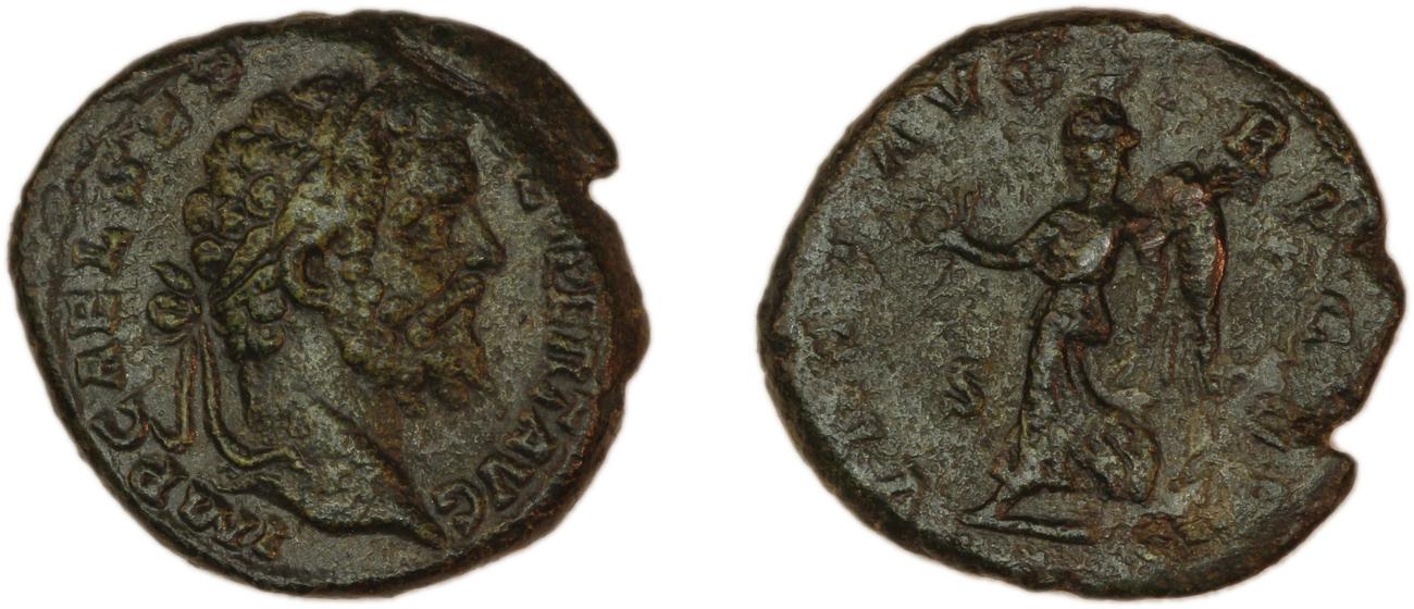 аверс RIC IV Septimius Severus 660A