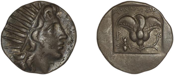 Rhodes Jenkins 1989 Group C, реверс, bm