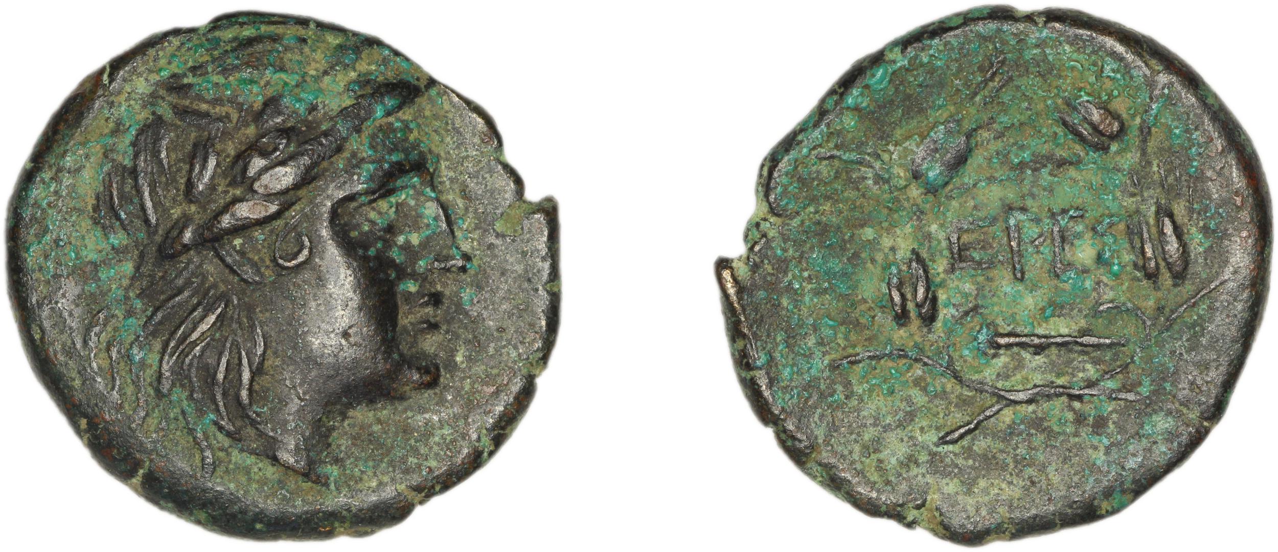 Eresus Hoover 2010 874, аверс, bm