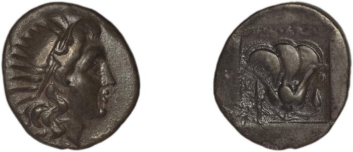 Rhodes Jenkins 1989 Group A, реверс, bm