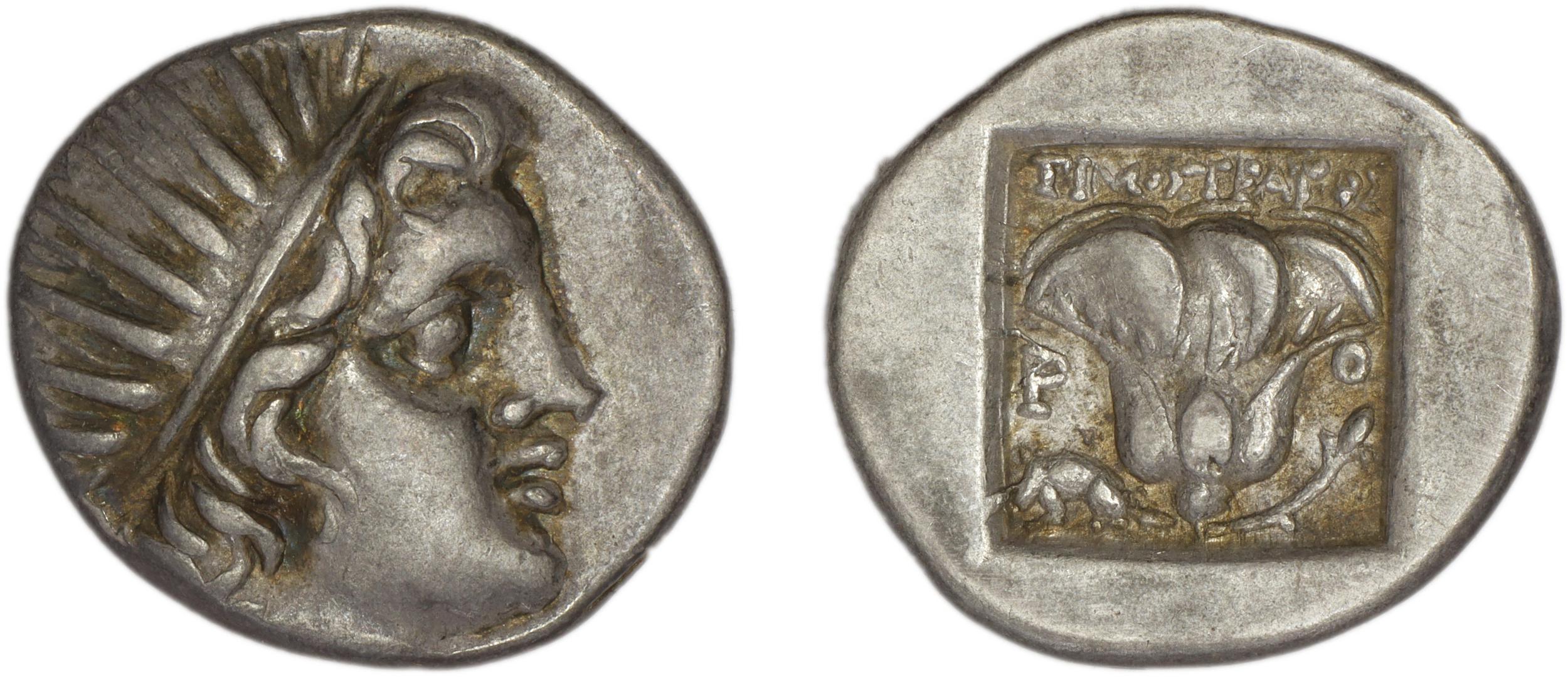 Rhodes Jenkins 1989 Group C, аверс, bm