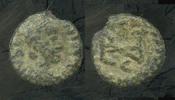 Metlich OCOI 88, реверс, bm