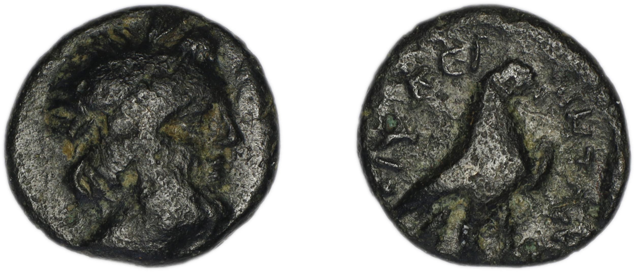 obverse Ceramus Spanu 1997 14-16