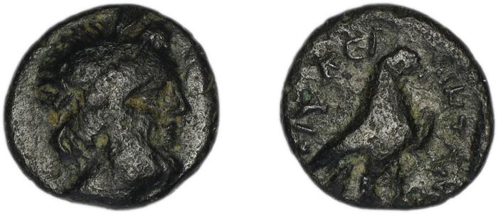 reverse Ceramus Spanu 1997 14-16