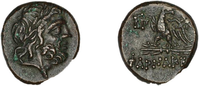 Pharnaceia Waddington 1925 4, реверс, bm