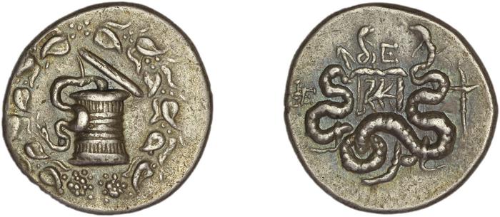 reverse Ephesus Kleiner and Noe 1977 44a