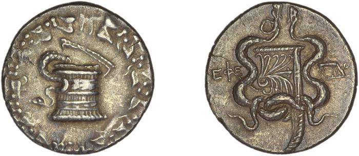 reverse Ephesus Kleiner and Noe 1977 6