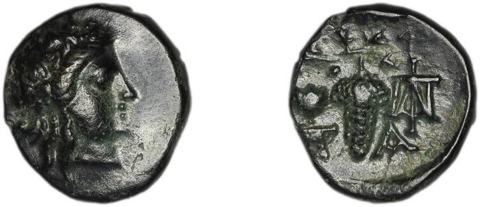 Temnus BMC Temnus 9, реверс, bm