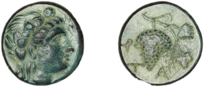 Temnus BMC Temnus 5, реверс, bm