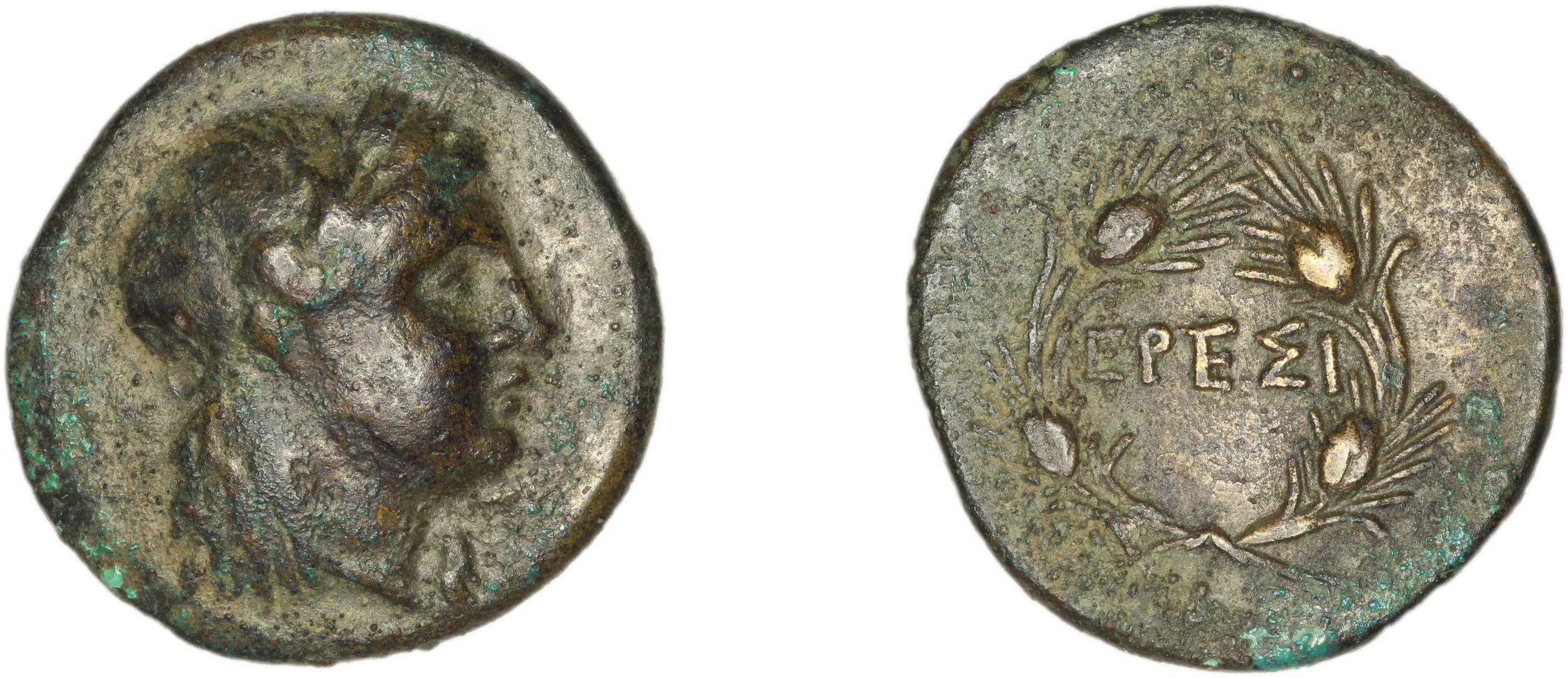 Eresus Hoover 2010 874, аверс, bm