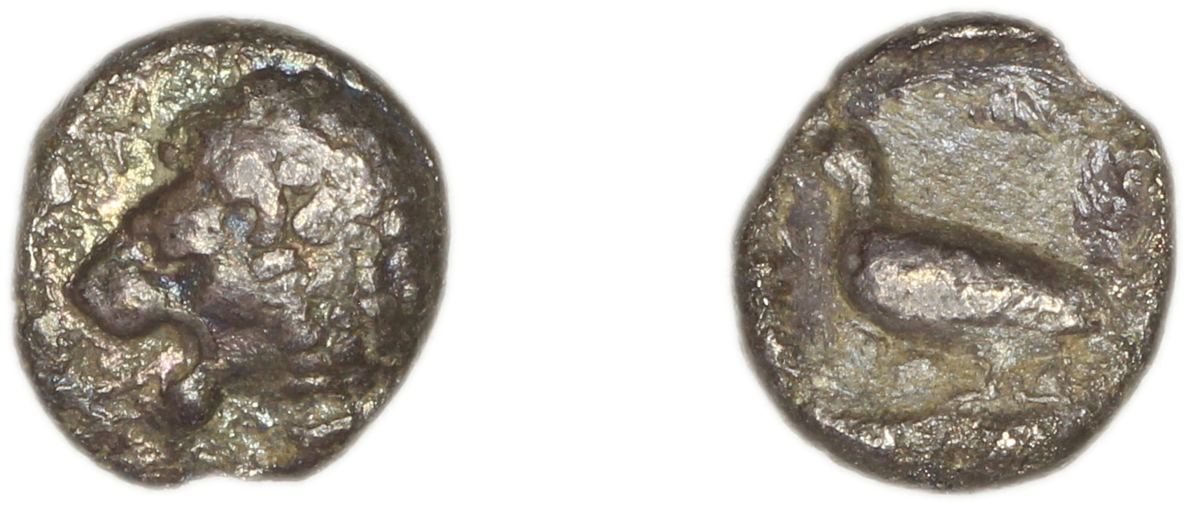 Miletus SNG Tübingen 3000-3017, аверс, bm