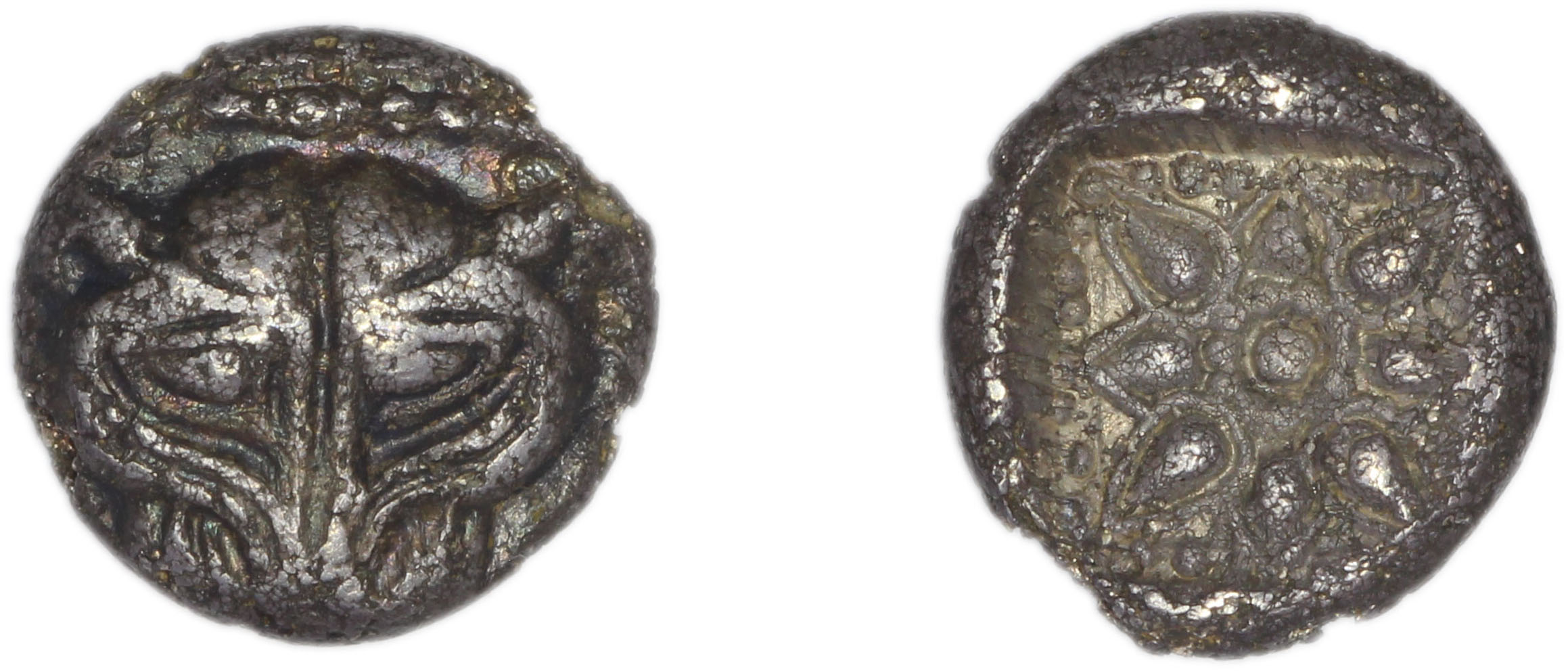 аверс Miletus Babelon 1907 434
