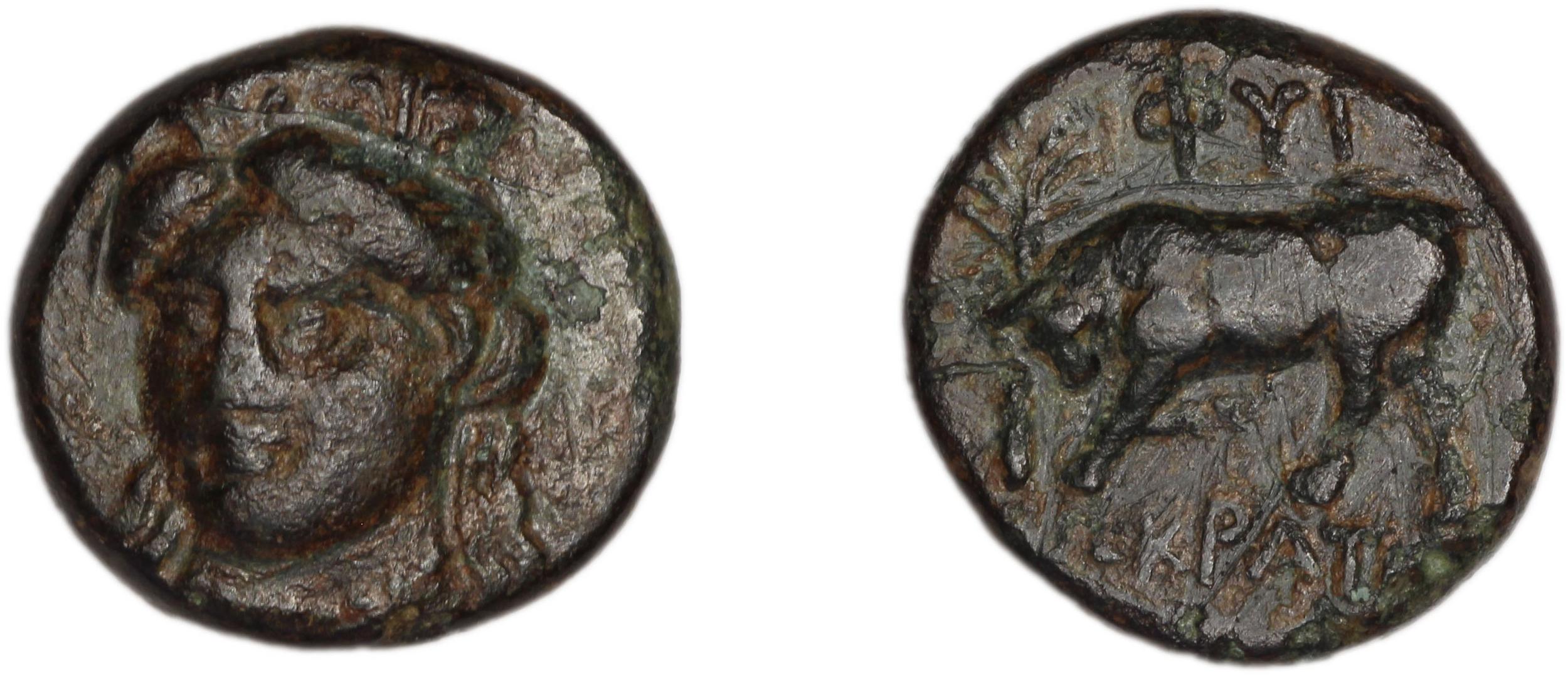 Phygela Regling 1922 Group IV, аверс, bm