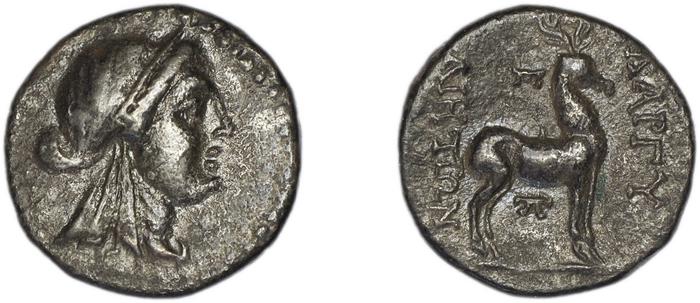 Bargylia SNG von Aulock 8074-5, реверс, bm