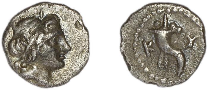 Caunus BMC Caunus 11, реверс, bm