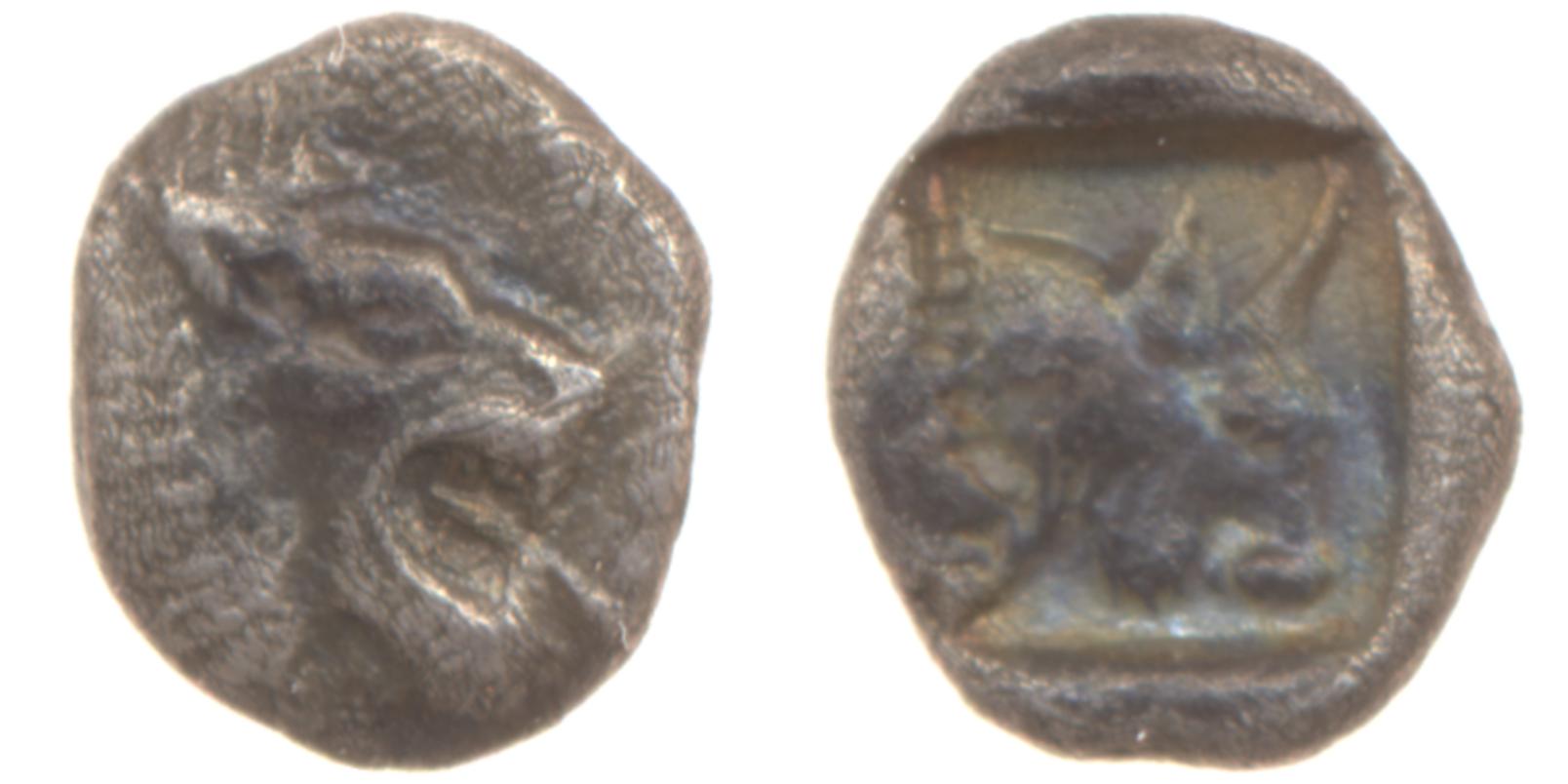 аверс Chersonesus, Caria Cahn 1970 Series C.26-27, 29